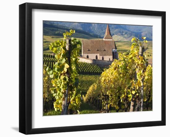 Hunawihr, Alsatian Wine Route, Alsace Region, Haut-Rhin, France-Walter Bibikow-Framed Photographic Print