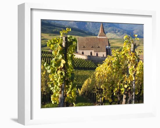 Hunawihr, Alsatian Wine Route, Alsace Region, Haut-Rhin, France-Walter Bibikow-Framed Photographic Print