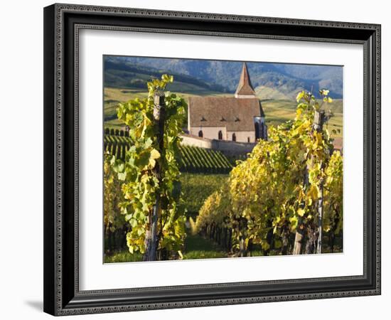 Hunawihr, Alsatian Wine Route, Alsace Region, Haut-Rhin, France-Walter Bibikow-Framed Photographic Print