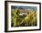 Hunawihr, Alsatian Wine Route, Alsace Region, Haut-Rhin, France-Walter Bibikow-Framed Photographic Print