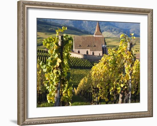 Hunawihr, Alsatian Wine Route, Alsace Region, Haut-Rhin, France-Walter Bibikow-Framed Photographic Print