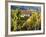 Hunawihr, Alsatian Wine Route, Alsace Region, Haut-Rhin, France-Walter Bibikow-Framed Photographic Print