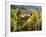 Hunawihr, Alsatian Wine Route, Alsace Region, Haut-Rhin, France-Walter Bibikow-Framed Photographic Print