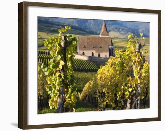 Hunawihr, Alsatian Wine Route, Alsace Region, Haut-Rhin, France-Walter Bibikow-Framed Photographic Print