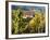 Hunawihr, Alsatian Wine Route, Alsace Region, Haut-Rhin, France-Walter Bibikow-Framed Photographic Print