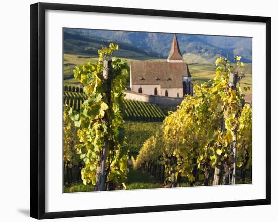 Hunawihr, Alsatian Wine Route, Alsace Region, Haut-Rhin, France-Walter Bibikow-Framed Photographic Print