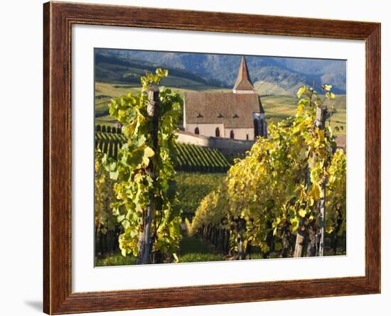 Hunawihr, Alsatian Wine Route, Alsace Region, Haut-Rhin, France-Walter Bibikow-Framed Photographic Print