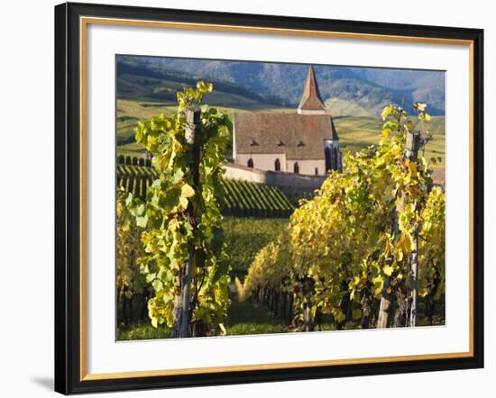 Hunawihr, Alsatian Wine Route, Alsace Region, Haut-Rhin, France-Walter Bibikow-Framed Photographic Print