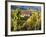 Hunawihr, Alsatian Wine Route, Alsace Region, Haut-Rhin, France-Walter Bibikow-Framed Photographic Print