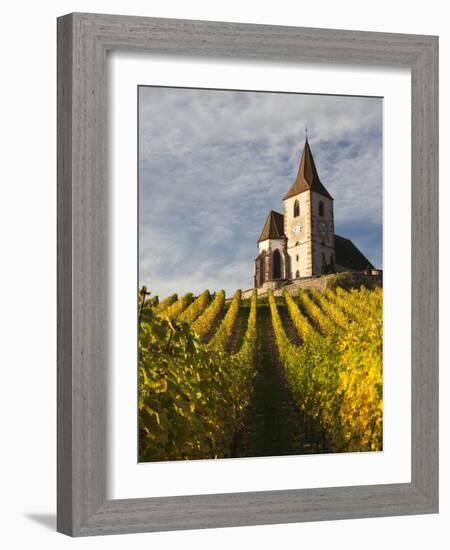 Hunawihr, Alsatian Wine Route, Alsace Region, Haut-Rhin, France-Walter Bibikow-Framed Photographic Print