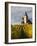 Hunawihr, Alsatian Wine Route, Alsace Region, Haut-Rhin, France-Walter Bibikow-Framed Photographic Print