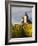 Hunawihr, Alsatian Wine Route, Alsace Region, Haut-Rhin, France-Walter Bibikow-Framed Photographic Print