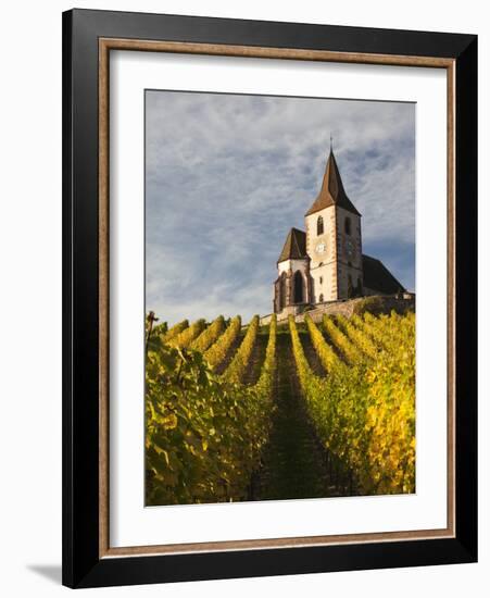 Hunawihr, Alsatian Wine Route, Alsace Region, Haut-Rhin, France-Walter Bibikow-Framed Photographic Print