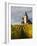 Hunawihr, Alsatian Wine Route, Alsace Region, Haut-Rhin, France-Walter Bibikow-Framed Photographic Print