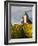 Hunawihr, Alsatian Wine Route, Alsace Region, Haut-Rhin, France-Walter Bibikow-Framed Photographic Print