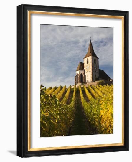 Hunawihr, Alsatian Wine Route, Alsace Region, Haut-Rhin, France-Walter Bibikow-Framed Photographic Print