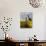 Hunawihr, Alsatian Wine Route, Alsace Region, Haut-Rhin, France-Walter Bibikow-Photographic Print displayed on a wall