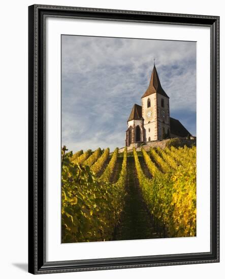 Hunawihr, Alsatian Wine Route, Alsace Region, Haut-Rhin, France-Walter Bibikow-Framed Photographic Print