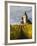 Hunawihr, Alsatian Wine Route, Alsace Region, Haut-Rhin, France-Walter Bibikow-Framed Photographic Print