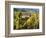 Hunawihr, Alsatian Wine Route, Alsace Region, Haut-Rhin, France-Walter Bibikow-Framed Photographic Print