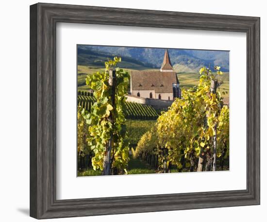 Hunawihr, Alsatian Wine Route, Alsace Region, Haut-Rhin, France-Walter Bibikow-Framed Photographic Print