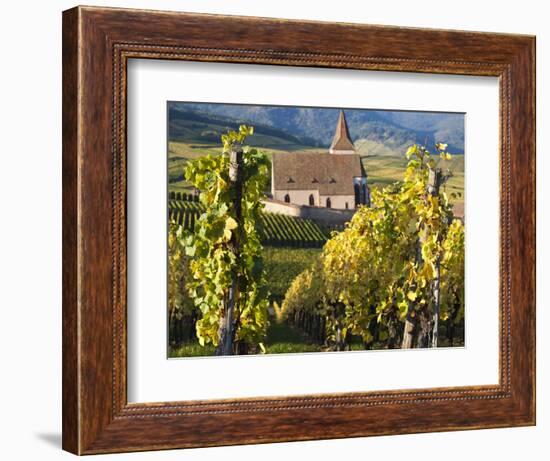 Hunawihr, Alsatian Wine Route, Alsace Region, Haut-Rhin, France-Walter Bibikow-Framed Photographic Print