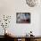 Hundertwasser House, Vienna, Austria, Europe-Levy Yadid-Photographic Print displayed on a wall
