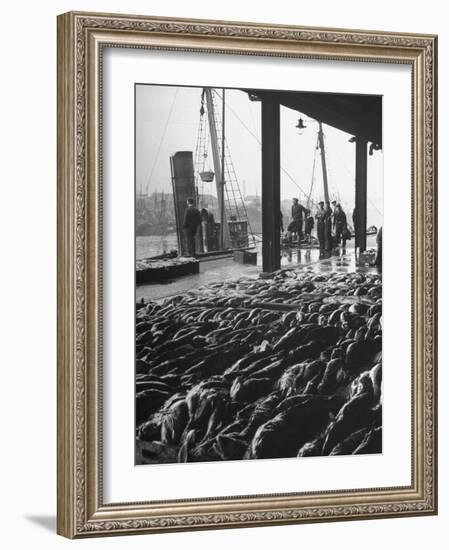 Hundreds of Fish Being Sold at the "Fish Market"-null-Framed Photographic Print