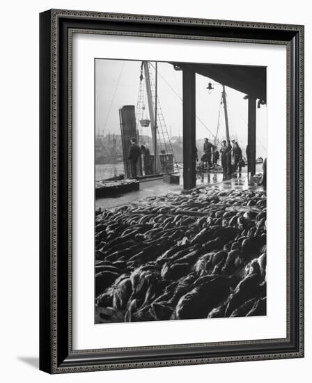 Hundreds of Fish Being Sold at the "Fish Market"-null-Framed Photographic Print