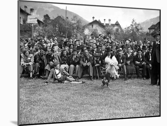 Hundreds of spectators watch two fighting cocks. 1951.-Erich Lessing-Mounted Photographic Print