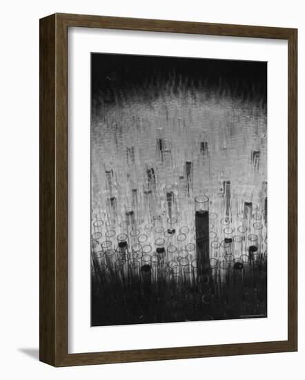 Hundreds of Test Tubes Set Up to Symbolize the Lengthy Search For Polio Vaccine-Andreas Feininger-Framed Photographic Print