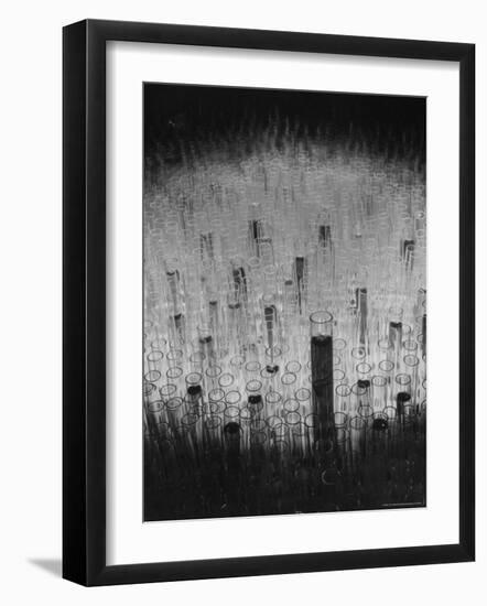 Hundreds of Test Tubes Set Up to Symbolize the Lengthy Search For Polio Vaccine-Andreas Feininger-Framed Photographic Print