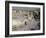 Hundreds of Thousands of Pilgrims Perform Friday Prayers at the Great Mosque in Mecca, Saudi Arabia-null-Framed Photographic Print