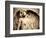 Hungary, Budapest, Kerepesi Cemetery-Michele Falzone-Framed Photographic Print