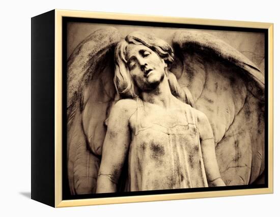 Hungary, Budapest, Kerepesi Cemetery-Michele Falzone-Framed Premier Image Canvas