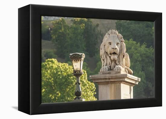 Hungary, Budapest. Lion sculpture on the Szechenyi Chain Bridge.-Tom Haseltine-Framed Premier Image Canvas