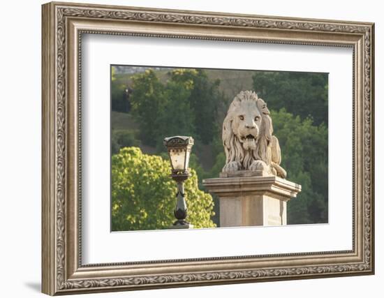 Hungary, Budapest. Lion sculpture on the Szechenyi Chain Bridge.-Tom Haseltine-Framed Photographic Print