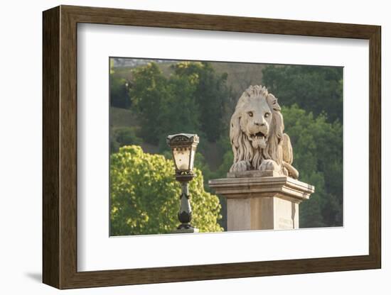 Hungary, Budapest. Lion sculpture on the Szechenyi Chain Bridge.-Tom Haseltine-Framed Photographic Print