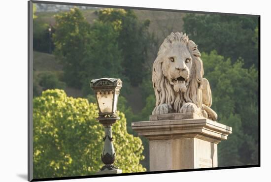Hungary, Budapest. Lion sculpture on the Szechenyi Chain Bridge.-Tom Haseltine-Mounted Photographic Print