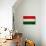 Hungary Flag Design with Wood Patterning - Flags of the World Series-Philippe Hugonnard-Art Print displayed on a wall