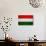 Hungary Flag Design with Wood Patterning - Flags of the World Series-Philippe Hugonnard-Art Print displayed on a wall