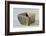 Hungary, Magyar Nemzeti Muzeum, Square Vase Made of Clay with Engraving of Female Figure From-null-Framed Giclee Print