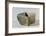 Hungary, Magyar Nemzeti Muzeum, Square Vase Made of Clay with Engraving of Female Figure From-null-Framed Giclee Print