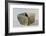 Hungary, Magyar Nemzeti Muzeum, Square Vase Made of Clay with Engraving of Female Figure From-null-Framed Giclee Print