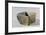 Hungary, Magyar Nemzeti Muzeum, Square Vase Made of Clay with Engraving of Female Figure From-null-Framed Giclee Print