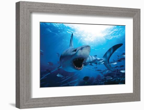 Hungry Shark-null-Framed Art Print