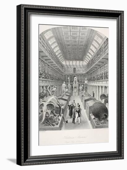 Hunterian Museum-Thomas Hosmer Shepherd-Framed Giclee Print