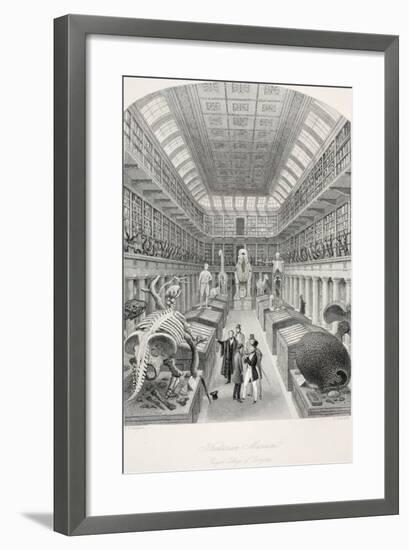 Hunterian Museum-Thomas Hosmer Shepherd-Framed Giclee Print