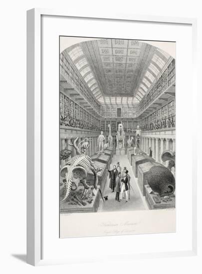Hunterian Museum-Thomas Hosmer Shepherd-Framed Giclee Print