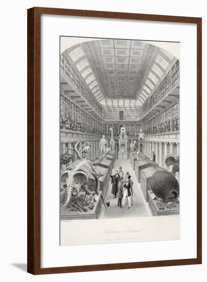 Hunterian Museum-Thomas Hosmer Shepherd-Framed Giclee Print